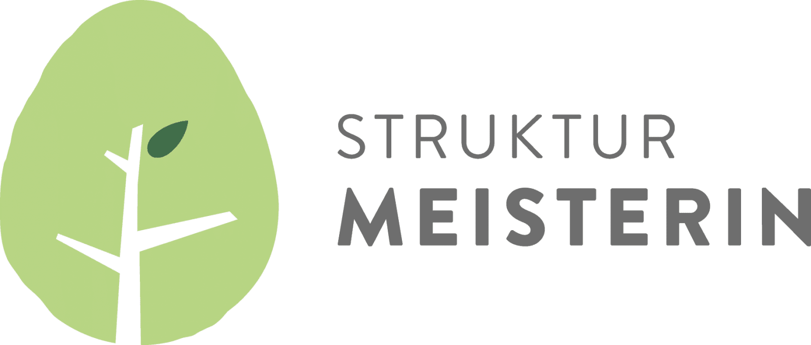 STM_Logo_RGB_quer