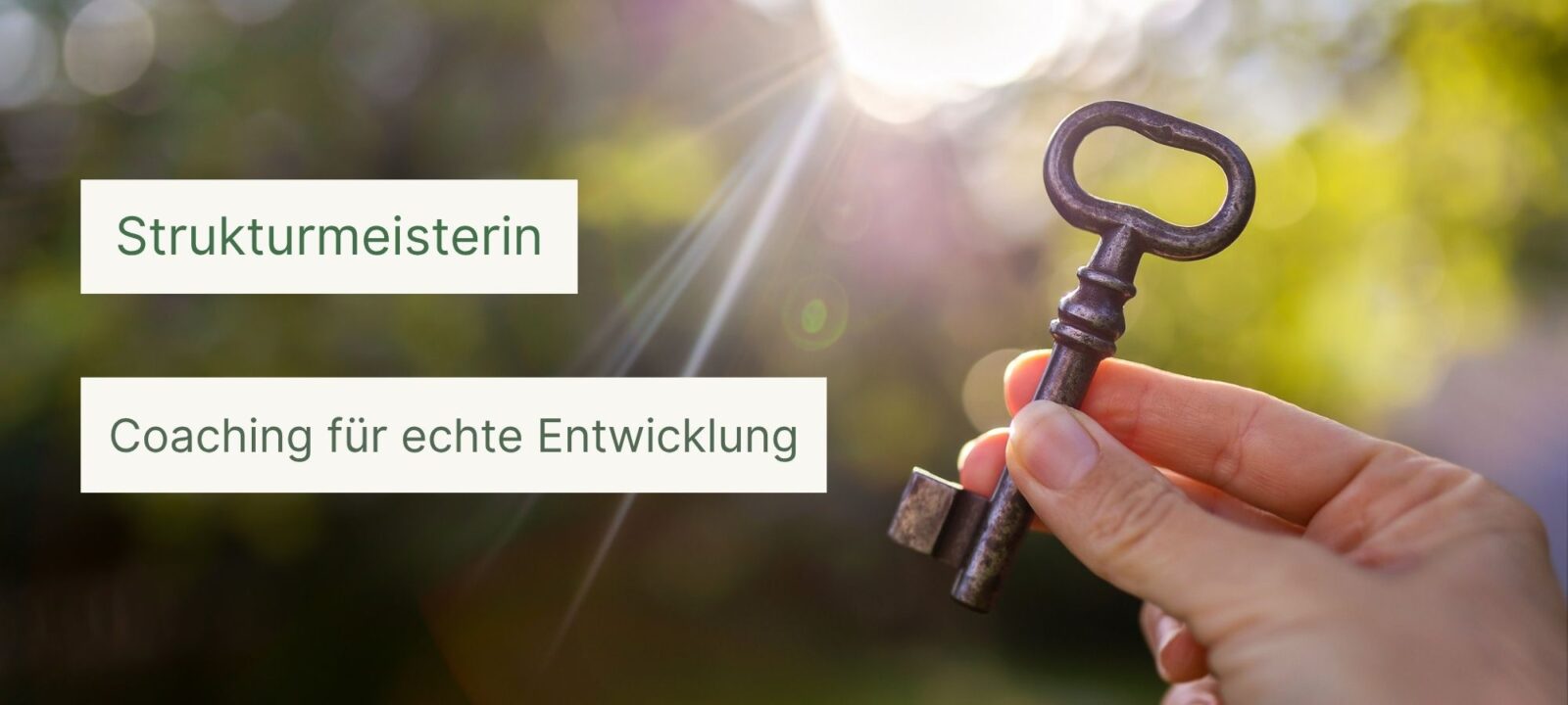 Home Strukturmeisterin-Startseite-Coaching-Liegler